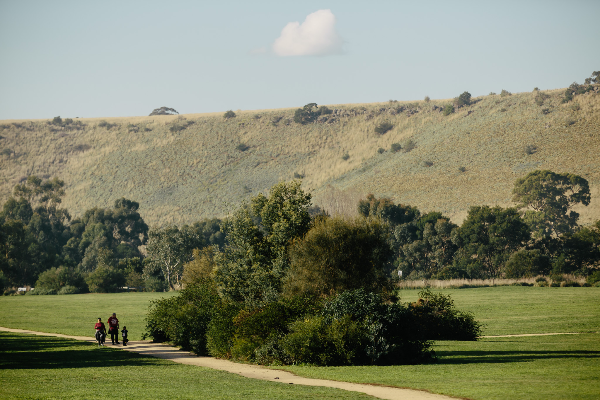Emu Bottom Wetlands Reserve Villawood Sunbury