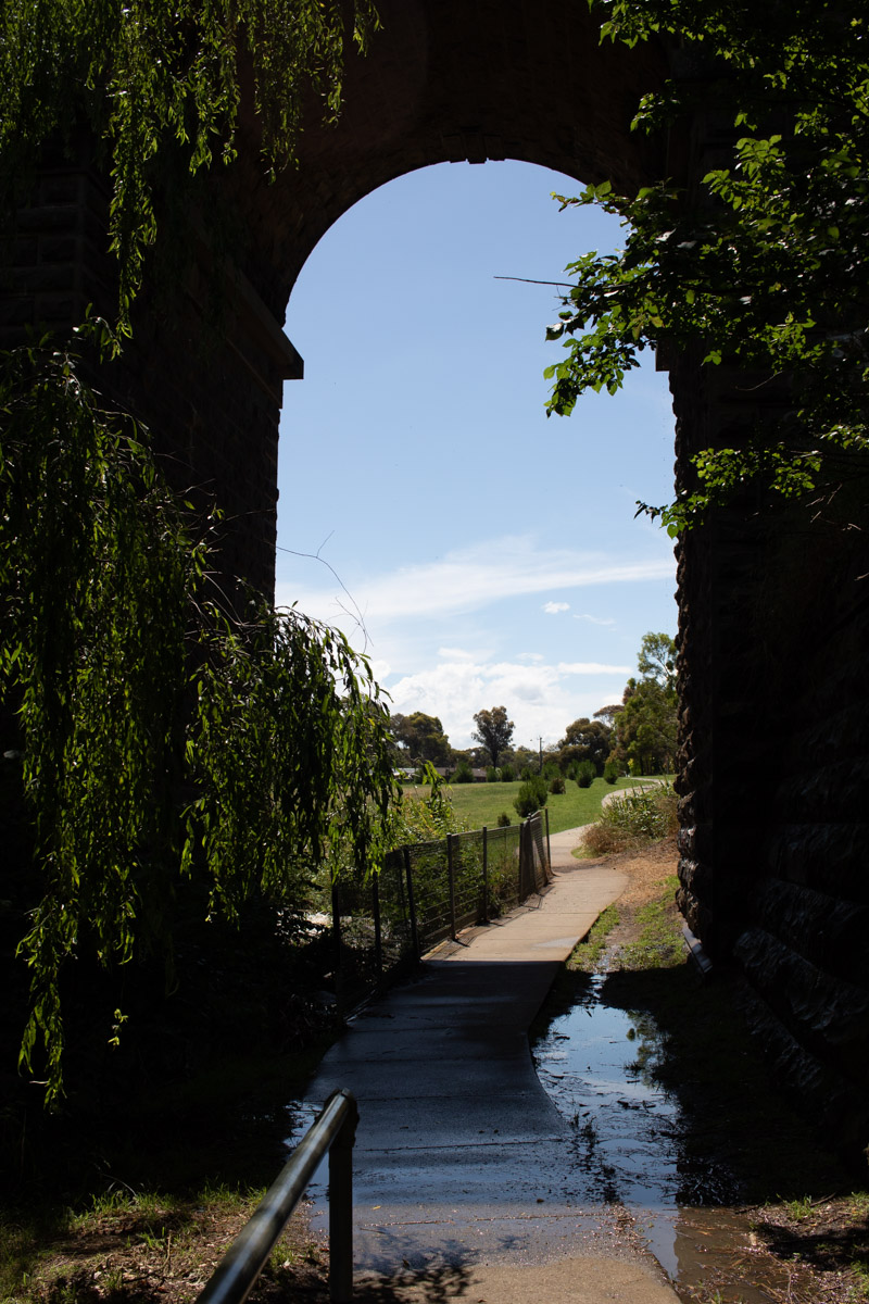 Blind_Creek_trail_366_AT