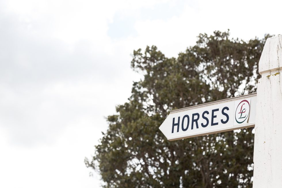 LivingLegends_SmudgeEats-7