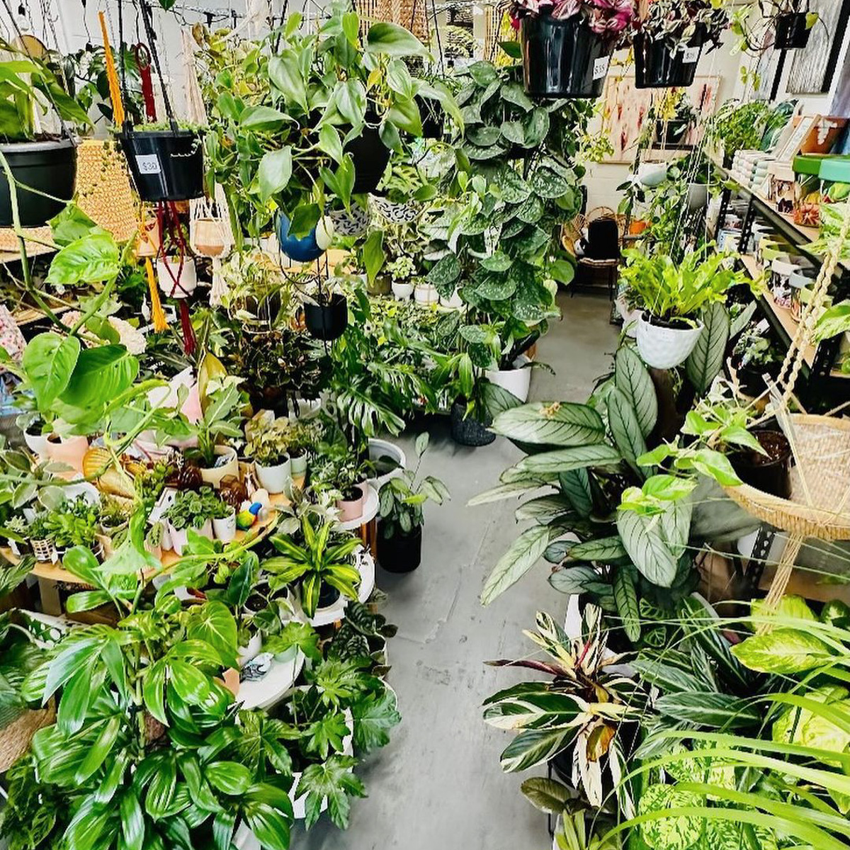 RicHomeDeco_Supplied_01