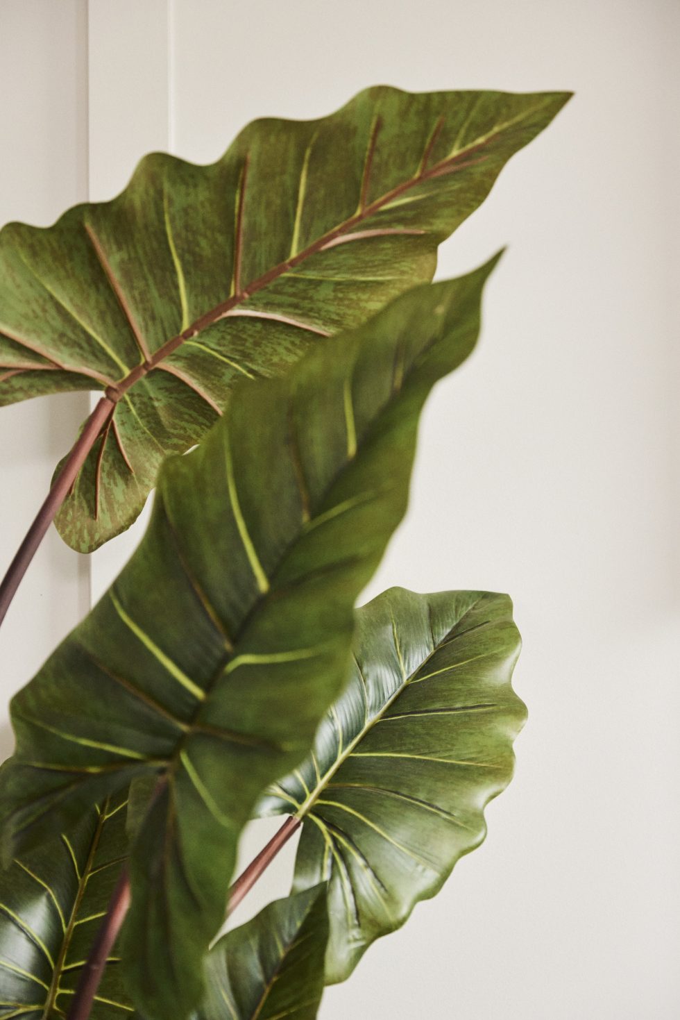 Villawood_04_HOME_0997