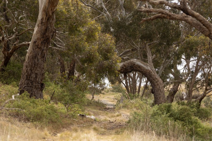 xr:d:DAF0Yj_OJnE:8,j:2646274220548916336,t:23111702