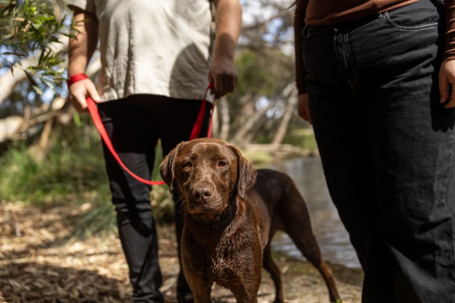 xr:d:DAF0Yj_OJnE:8,j:2646274220548916336,t:23111702