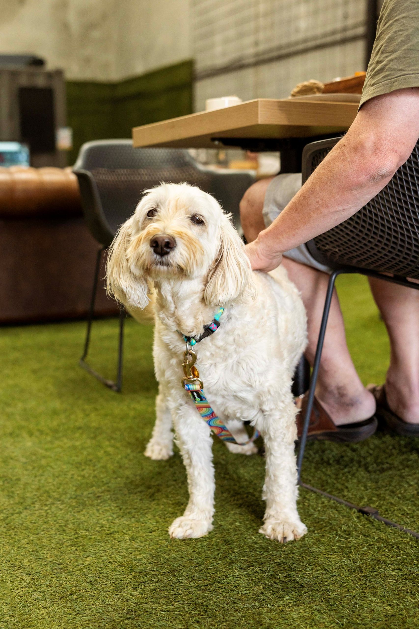 MSC_Sunbury_Autumn2025_IndustrialCafe-3 MR